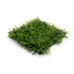 Панель из папоротника 50x50см.