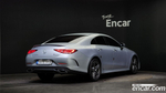 Mercedes-Benz CLS-Class C257 CLS300d 4MATIC (05.2022)