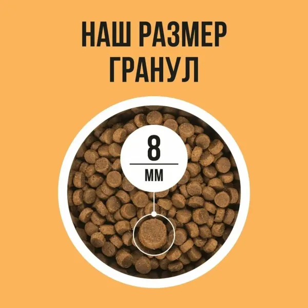 Сухой корм BOWL WOW для кошек с чувствительным пищеварением с индейкой, курицей и тыквой