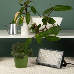 Фитопрожектор для растений светодиодный ЭРА FITO-80W-Ra90-LED-Y полного спектра | Фито прожекторы