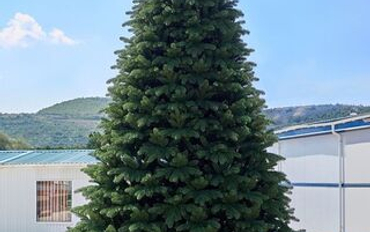 Высотные елки