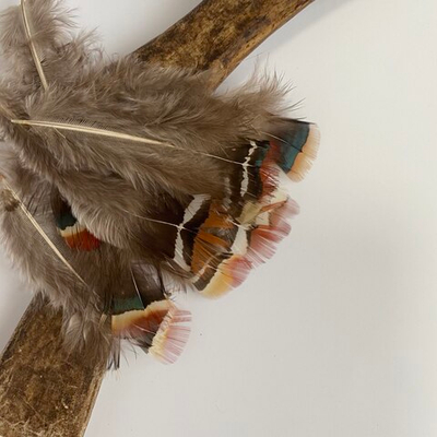 Перья фазана с красной кисточкой 6-8 см. 10 шт. 2 сорт