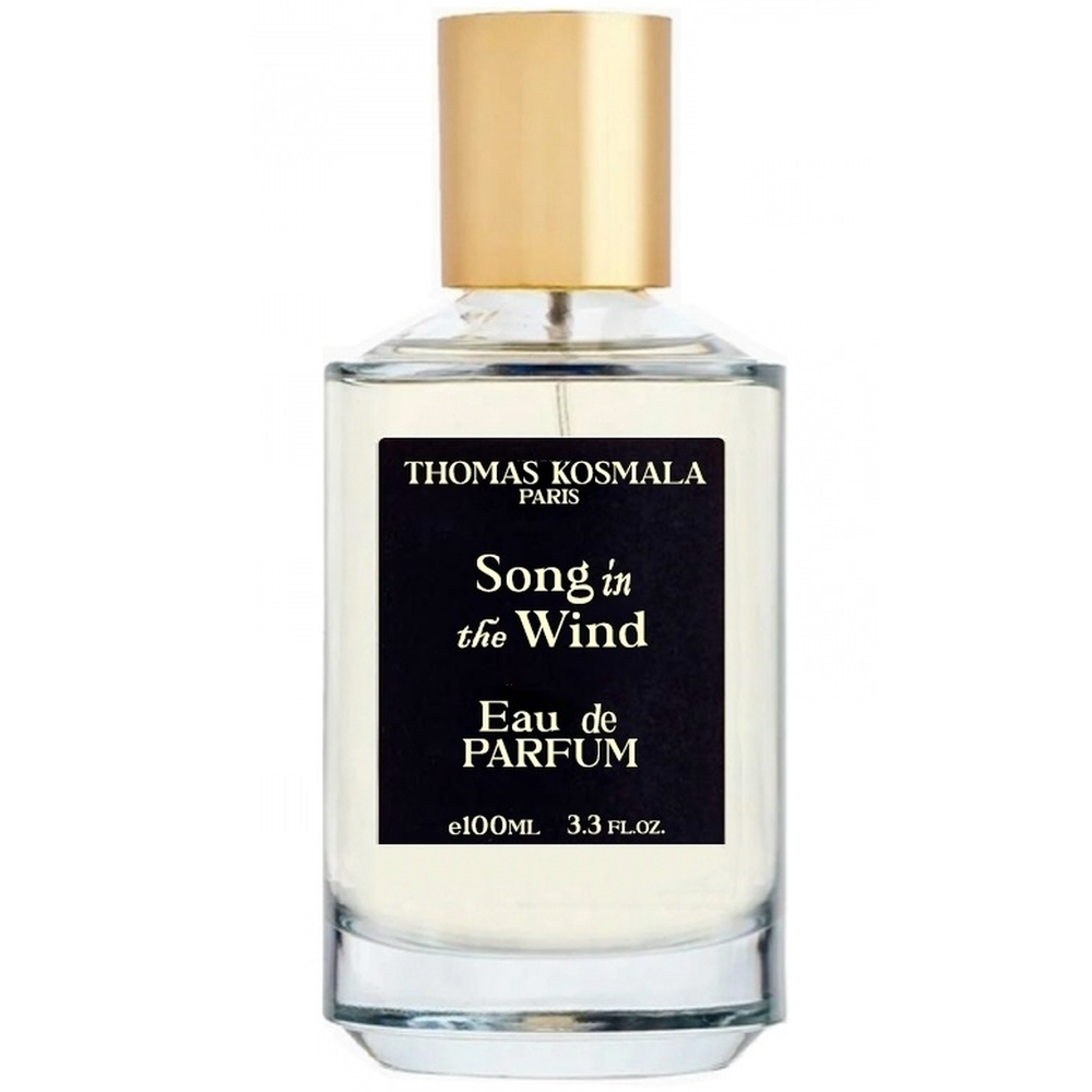 Thomas Kosmala Song In The Wind