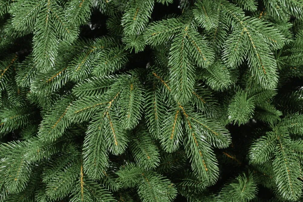 Искусственная новогодняя елка Царь Елка Афродита, литая, 210 см