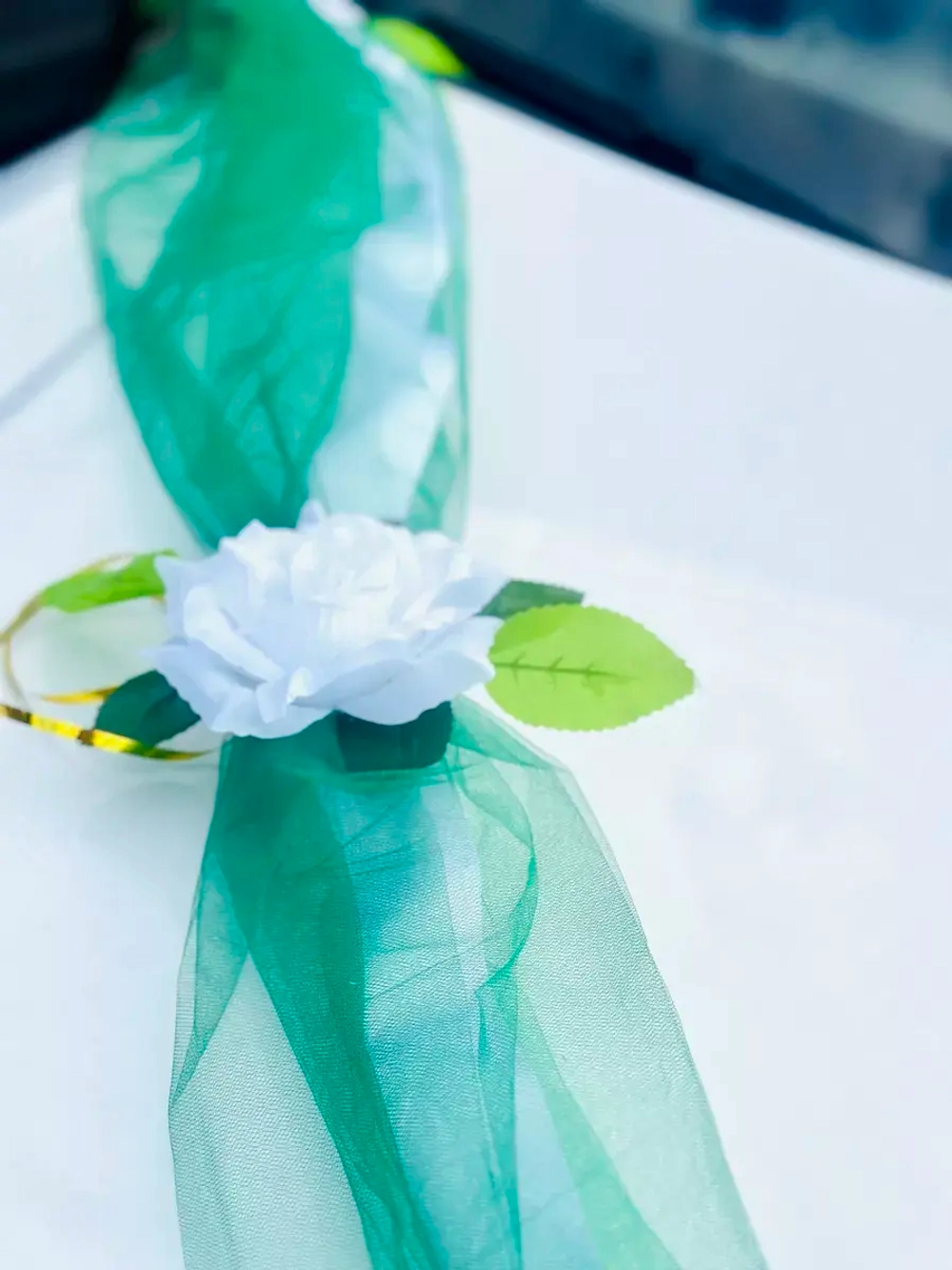 Лента на капот