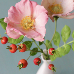 Молд вайнер силиконовый для лепки лепестков шиповника - Розы ругоза / форма для лепестков розы