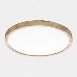 Citilux Бейсик CL738242V LED Светильник накладной Клён