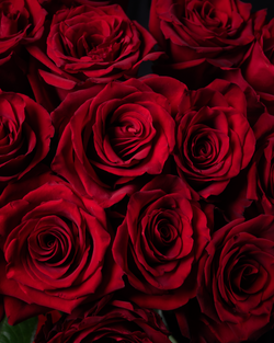 Монобукет красный *