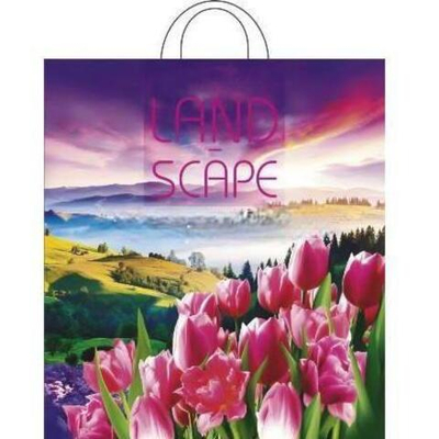 Пакет с петлевой ручкой ПНД 38х42 (40 мкм) "Просторы" (25/500 шт.) Интерпак