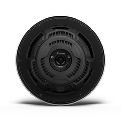 Влагозащищенный сабвуфер 10" Rockford Fosgate M2D2-10I-G2