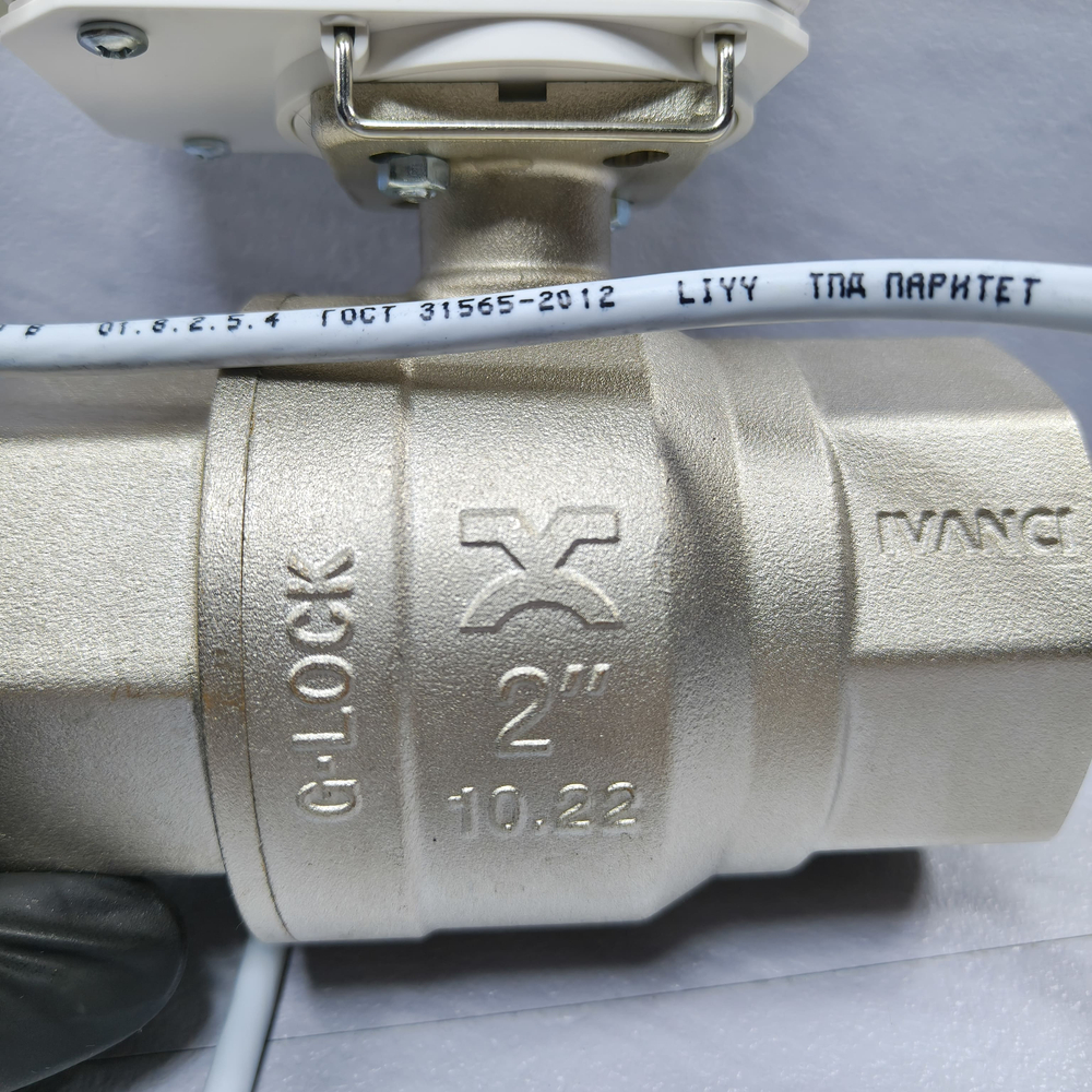 Gidrolock Professional 24V G-lock 2" BS FB