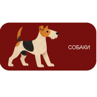 Собаки