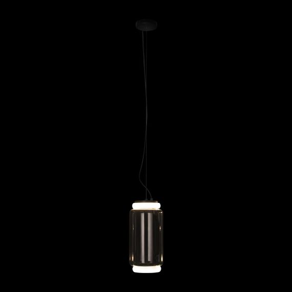 Подвесной светодиодный светильник Loft IT Noctambule 10194/S