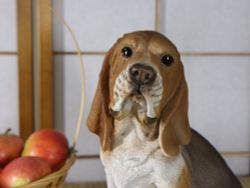 Hotant Статуэтка собаки породы Бигль