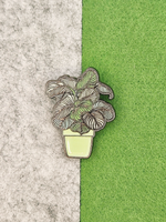 Значок Калатея