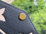 Louis Vuitton Felicie