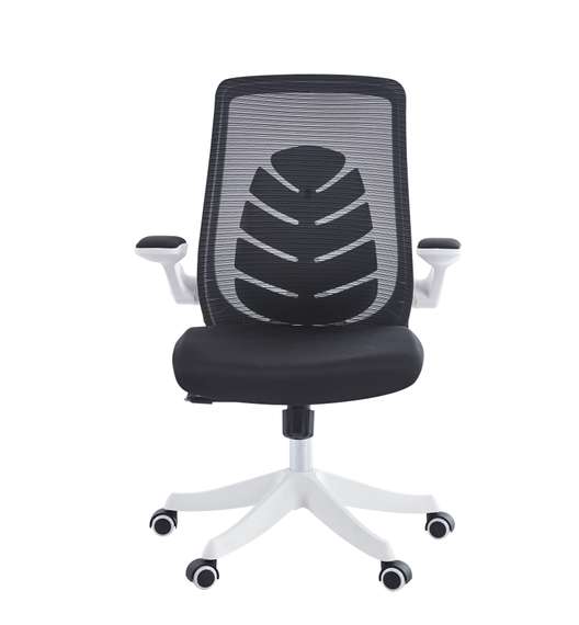 Офисное кресло Chairman CH565 белый пластик, черный