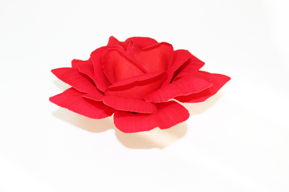 Роза бархат