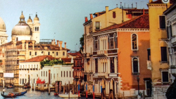 Микровелюр Xpoint (Икспоинт) 0086.01 Венеция