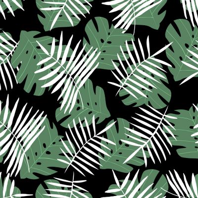 Листья тропических растений на черном фоне. Монстера и пальма