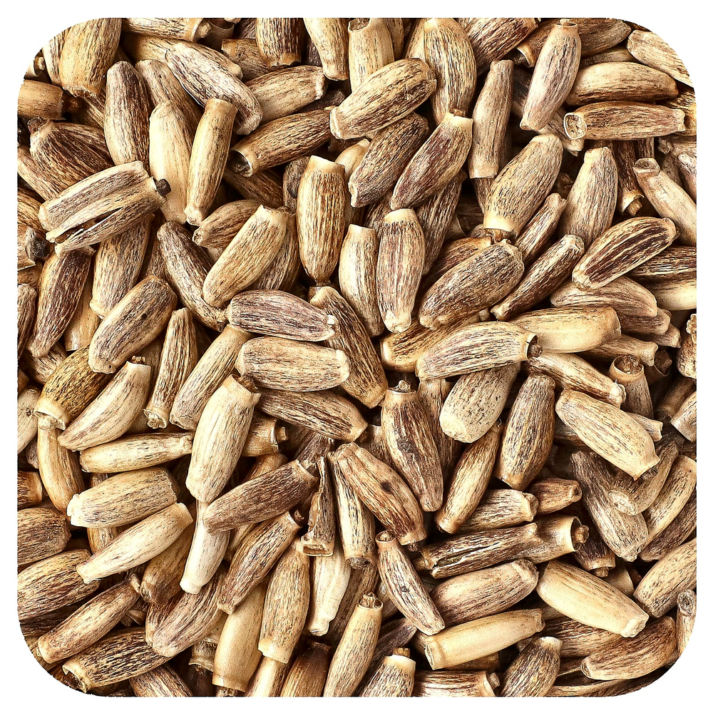 Starwest Botanicals, органические семена расторопши, 453,6 г (1 фунт)