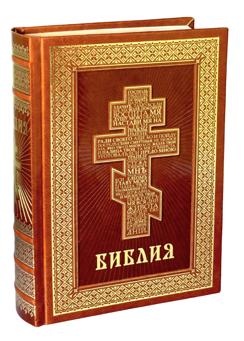 IMG_9649-PhotoRoom.png-PhotoRoom