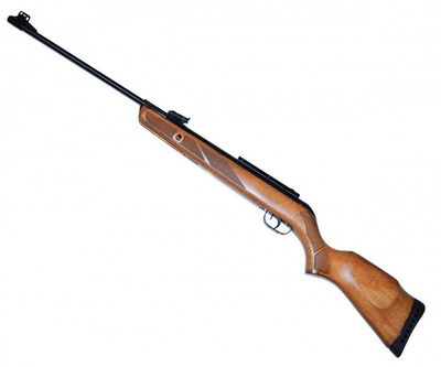 Винтовка пневматическая GAMO Hunter 440