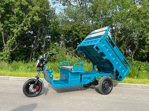 Грузовой электрический трицикл IKINGI CARGO C06 1500W (60V/45Ah) - Бирюзовый фото №8