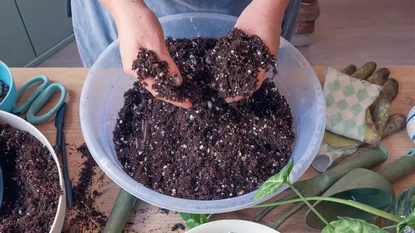 Готовим грунт для рассады своими руками: три проверенных сибирских рецепта