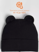 Шапка детская осенняя с ушками и снуд