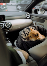 Чехол для автокресла облегчённый, черный