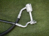 DSCN6329.jpg