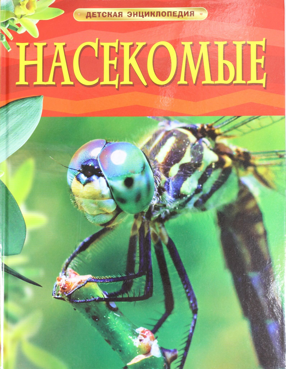 Насекомые.