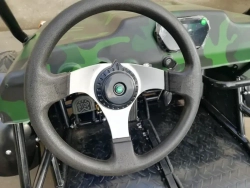 Багги Green Camel Намиб T009 (60V 1500W R7 Дифференциал)