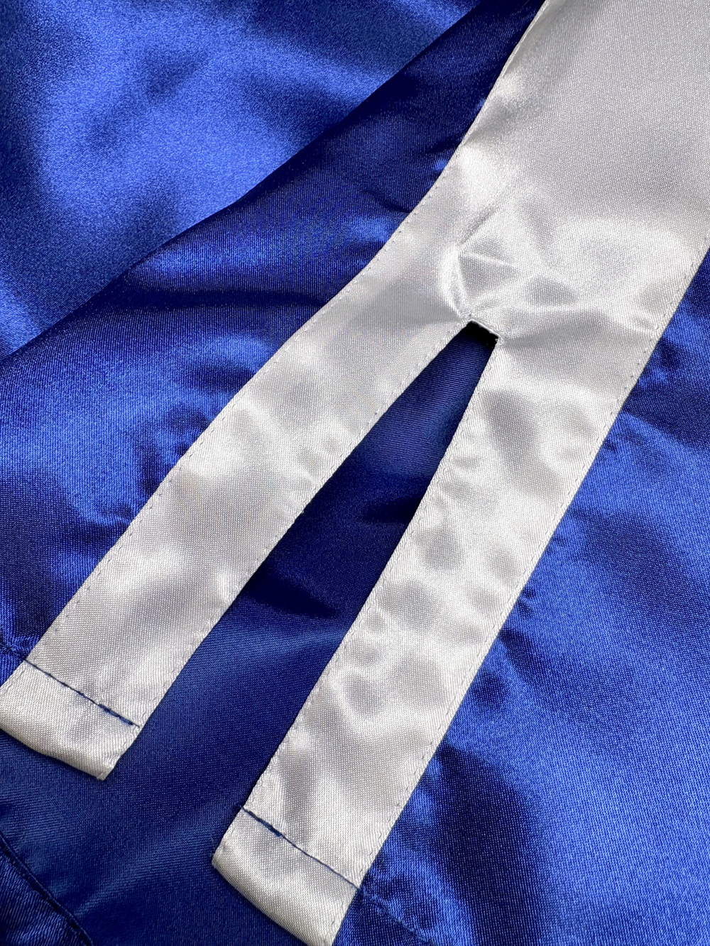 Шорты для бокса Tomorrow Star синие