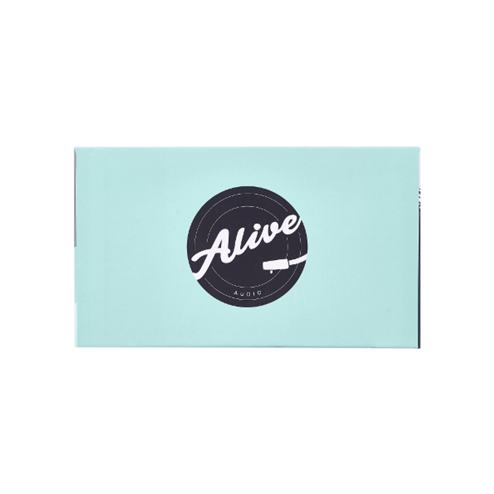 Беспроводная колонка Alive Audio Journey (Mint)
