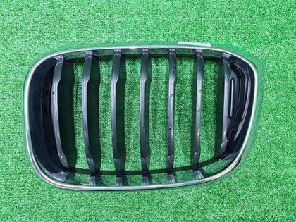 Решетка радиатора левая BMW X3 G01 X4 G02 (17-21)