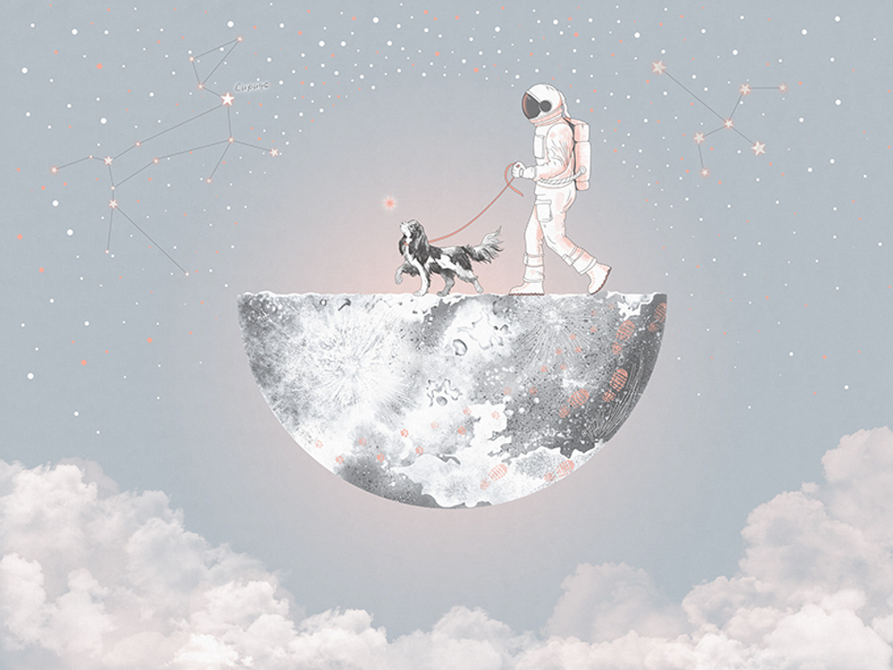 Коллекция COSMOS 25