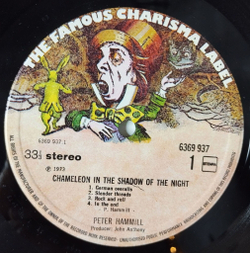 Винтажная виниловая пластинка LP Peter Hammill Chameleon In The Shadow Of The Night (Holland 1973)
