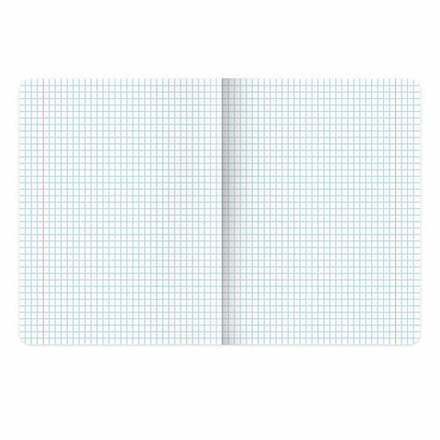 Тетрадь предметная "КОТ-ЭНТУЗИАСТ" 48 л., TWIN-лак, ИНФОРМАТИКА, клетка, подсказ, BRAUBERG, 404562