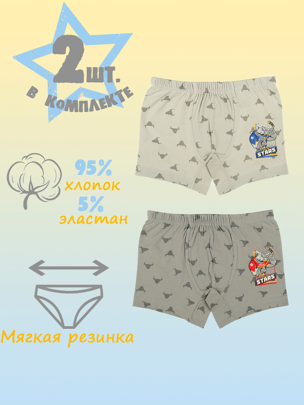 Боксеры для мальчика (2 штуки в упаковке)