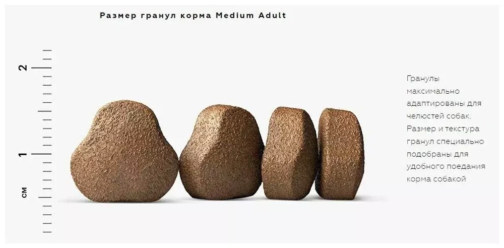 Karmy Medium Adult Сухой корм для взрослых собак средних пород с индейкой, 2 кг