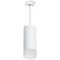 Комплект с подвесным светильником Lightstar Rullo (216486+590086+202481) RP648681