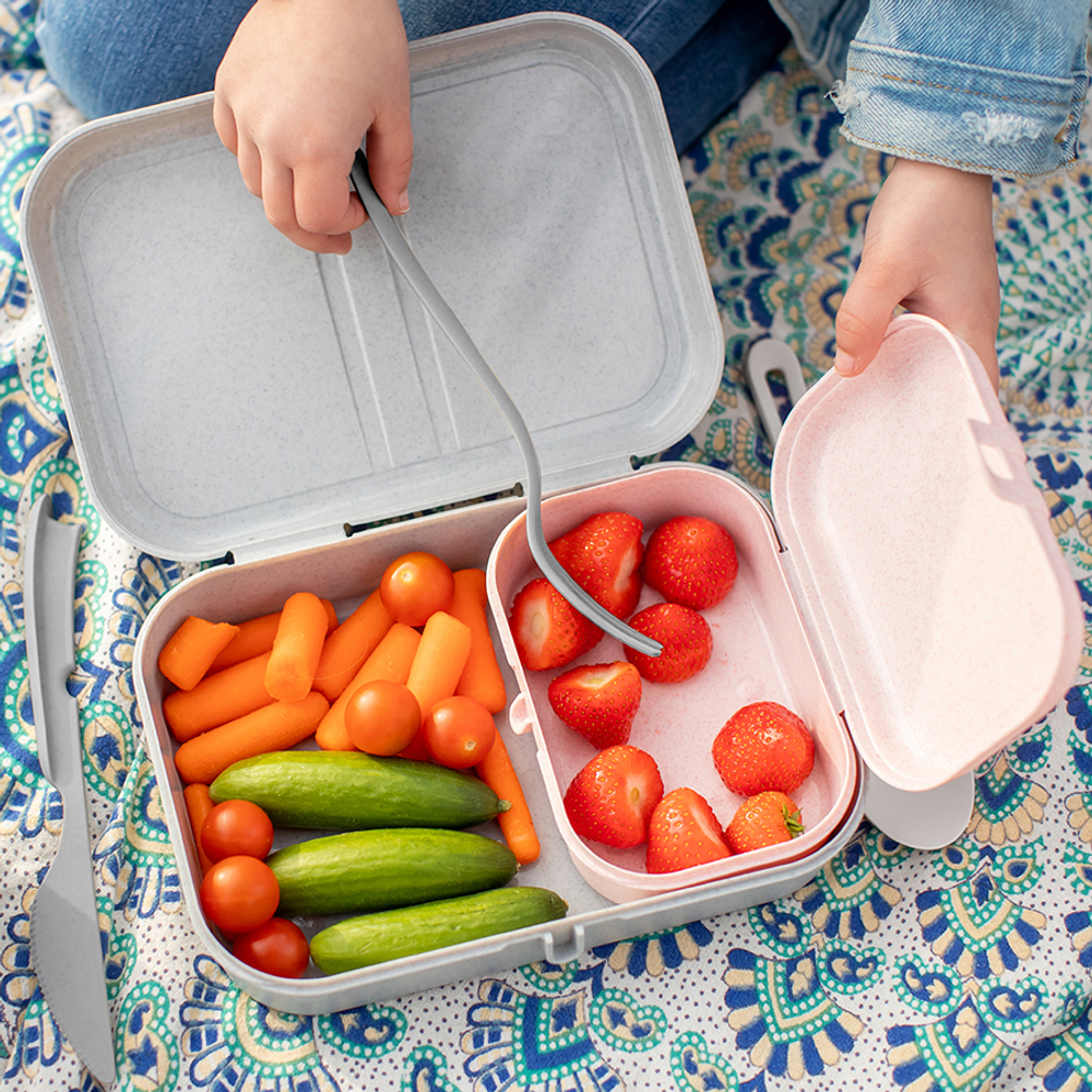 Ланч-бокс pascal, organic, 15,2х6х10,7 см, красный