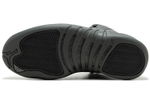 Кроссовки Jordan Air Jordan 12 Retro Psny