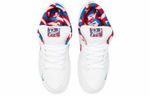 Кроссовки Parra X Nike Dunk Sb 3D