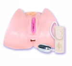 Вагина и анус Nikki Tyler с желтыми волосиками (с вибрацией) (Цвет: телесный)