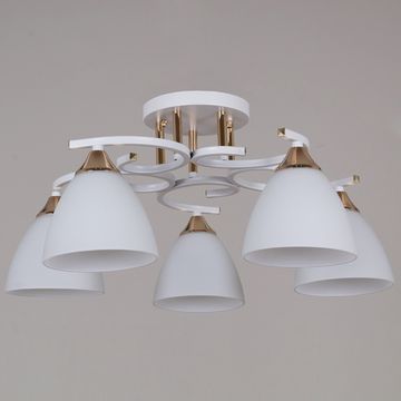 05009-0.3-05 WH+FG светильник потолочный