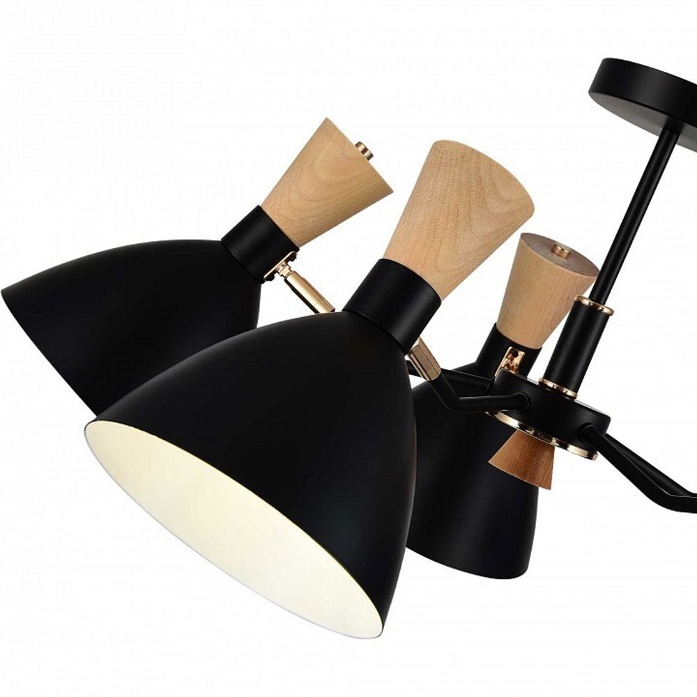 Люстра на штанге EVOLUCE VISTA SLE1256-402-05