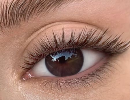 Оттеночные натуральные темно карие линзы для Светлых глаз Marquise Solo Dark brown (темно карие ) /Плюсовые диоптрии для дальнозоркости и близорукости